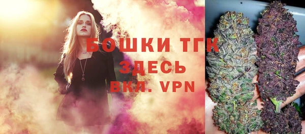 сатива Кущёвская